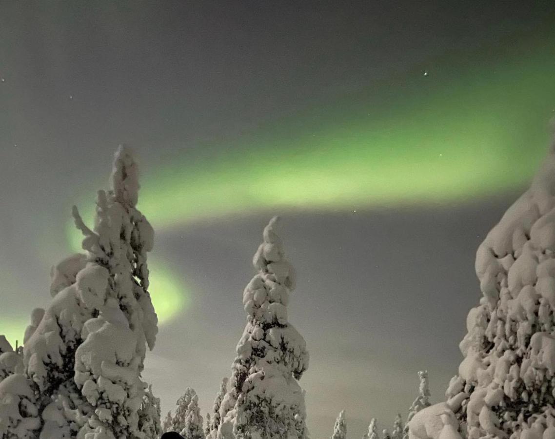 Sofia Rovaniemi City Apartment ภายนอก รูปภาพ