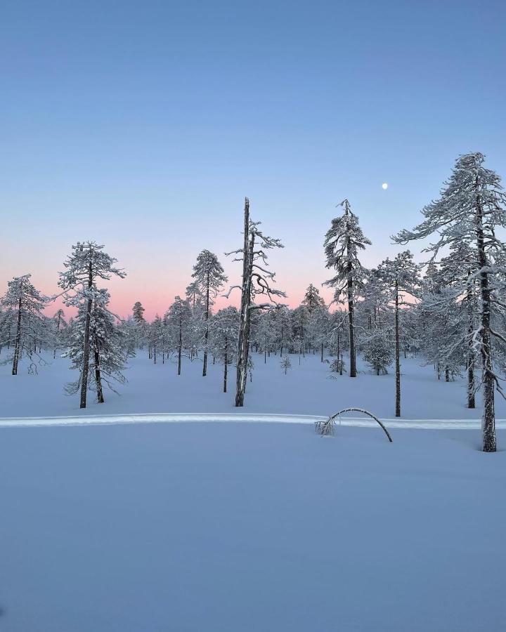 Sofia Rovaniemi City Apartment ภายนอก รูปภาพ